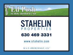 Stahelin Properties